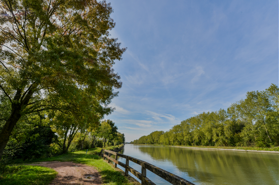 Canal - La Lys