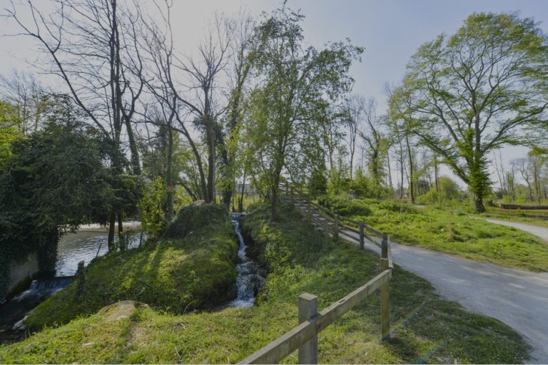 Souchez-Bois-de-carieul-2-©Yannick-Cadart.jpg