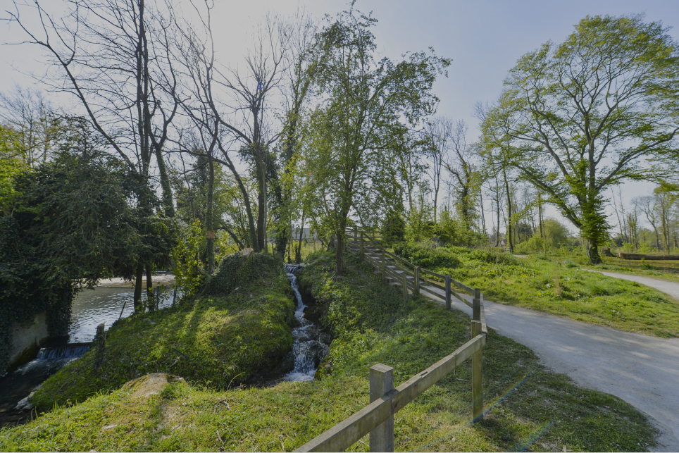 Souchez-Bois-de-carieul-2-©Yannick-Cadart.jpg