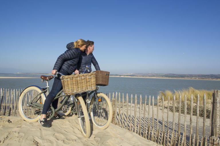 la baleine royale, location velo, le touquet